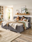 Boxspringbett Samera Angebote bei Kabs Bremen für 1.190,00 €