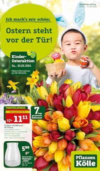 Pflanzen Kölle Dallgow-Döberitz Prospekt "Ostern steht vor der Tür!" mit 18 Seiten