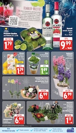 Aktueller EDEKA Prospekt mit Orchidee, "Top Angebote", Seite 9