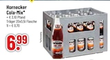 Cola-Mix im Angebot bei Trinkgut in Mühldorf Cola-Mix Angebote von Hornecker bei Trinkgut Mühldorf für 6,99 €