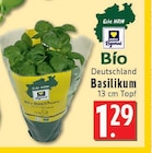 Aktuelle Kräuter Angebote bei EDEKA in Köln Aktuelles Basilikum Angebot bei EDEKA in Köln ab 1,29 €