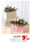 3 rosiers - Super U à Lyon 3 rosiers en promo chez Super U Lyon à 9,99 €