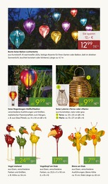 Pflanzen Kölle Gartenbeleuchtung im Prospekt 