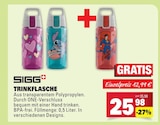 Trinkflasche Angebote von SIGG bei Marktkauf Rottenburg für 25,98 €