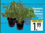 Rosmarin von  im aktuellen EDEKA Prospekt für 1,99 €