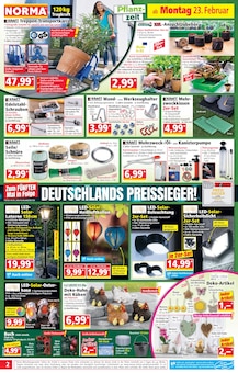 Zimmerpflanzen im Norma Prospekt "Mehr fürs Geld" mit 20 Seiten (Köln)