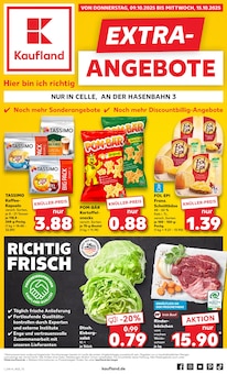 Aktueller Kaufland Prospekt (Burgwedel, 8 Seiten zum blättern Kaufland Prospekt EXTRA-ANGEBOTE mit 8 Seiten