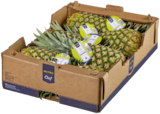 Ananas von Metro Chef für 3,20 € bei METRO im Angebot Ananas von Metro Chef im aktuellen METRO Prospekt