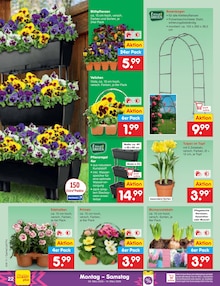 Blumen im Netto Marken-Discount Prospekt "Aktuelle Angebote" mit 60 Seiten (Hamburg)