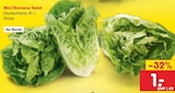 Mini Romana Salat im aktuellen Netto Marken-Discount Prospekt