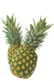 Costa Rica Ananas bei K+K - Klaas & Kock in Bielefeld Costa Rica Ananas im Angebot bei K+K - Klaas & Kock Bielefeld für 1,99 €