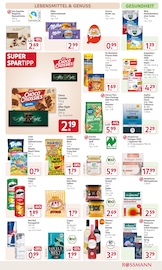 Zucker im Rossmann Prospekt in Wolfenbüttel Aktueller Rossmann Prospekt mit Zucker, "Unsere Angebote", Seite 11