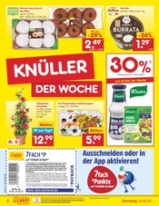 Aktueller Netto Marken-Discount Prospekt mit Blumen, "Aktuelle Angebote", Seite 2