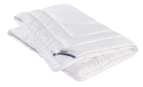 Kopfkissen gesteppt im Angebot bei Matratzen Concord in Ansbach Kopfkissen gesteppt Angebote von BeCo bei Matratzen Concord Ansbach für 44,90 €