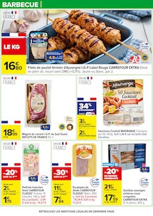 Promo Gardena dans le catalogue Carrefour du moment à la page 13