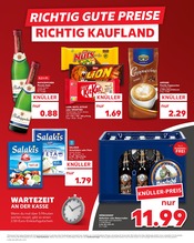 Aktueller Kaufland Prospekt mit Samsung, "KNÜLLER", Seite 17