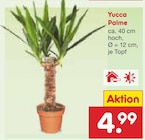 Yucca Palme im Angebot bei Netto Marken-Discount in Weiden Yucca Palme Angebote bei Netto Marken-Discount Weiden für 4,99 €