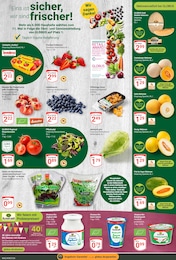Bio Salat Angebot im aktuellen GLOBUS Prospekt auf Seite 6