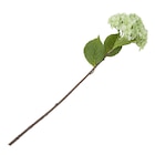 Kunstblume Hortensie für 7,99 € bei Ernstings family im Angebot Kunstblume Hortensie im aktuellen Ernstings family Prospekt
