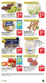 Erdbeeren im EDEKA Prospekt in Freiburg Aktueller EDEKA Prospekt mit Erdbeeren, "Aktuelle Angebote", Seite 48