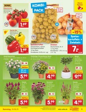 Ähnliche Angebote wie Tulpen im Prospekt "Aktuelle Angebote" auf Seite 5 von Netto Marken-Discount in Neustadt
