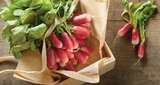 Promo Radis Rose à 0,69 € dans le catalogue Intermarché Contact à Bidache