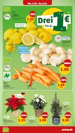 Pilze Angebot im aktuellen Penny Prospekt auf Seite 7