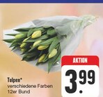 Aktuelles Tulpen Angebot bei EDEKA in Dresden ab 3,99 €