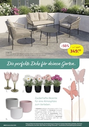 ROLLER Pflanztopf im Prospekt 