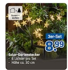 Solar-Gartenstecker im Rossmann Prospekt Solar-Gartenstecker von im aktuellen Rossmann Prospekt für 8,99 €