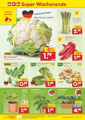 Erdbeerpflanzen im Netto Marken-Discount Prospekt in Köln Aktueller Netto Marken-Discount Prospekt mit Erdbeerpflanzen, "Aktuelle Angebote", Seite 44