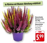 EDEKA Aach, Trier-Saarburg Prospekt mit  im Angebot für 5,99 €