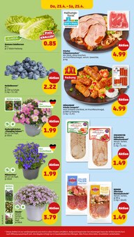 Blumen im Penny Prospekt "Wer günstig will, muss Penny." mit 38 Seiten (Mannheim)