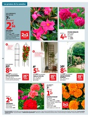 Promos Géranium dans le catalogue "25 JOURS AUCHAN" de Auchan Hypermarché Géranium en promo dans le catalogue Auchan Hypermarché à la page 44