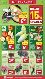 Äpfel im ALDI Nord Prospekt in Wolfsburg Aktueller ALDI Nord Prospekt mit Äpfel, "Aktuelle Angebote", Seite 32