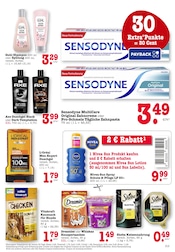 Aktueller EDEKA Prospekt mit Tierfutter, "Aktuelle Angebote", Seite 31