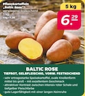 Pflanzkartoffeln Baltic Rose im aktuellen Netto mit dem Scottie Prospekt