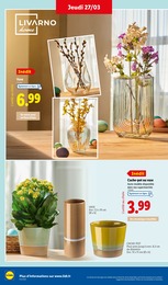 Offre Cache-Pot dans le catalogue Lidl du moment à la page 34