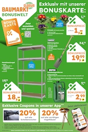 Globus-Baumarkt Regal im Prospekt 