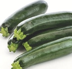 Trio de courgettes Tempra verte bio en promo chez Botanic Trio de courgettes Tempra verte bio dans le catalogue Botanic