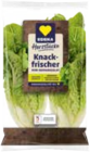 Angebot im E aktiv markt Buchholz (Nordheide) Prospekt E aktiv markt Buchholz (Nordheide) Prospekt mit im Angebot für 0,99 €