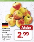 Aktuelle Äpfel Angebote bei famila Nordwest in Oldenburg Aktuelles Tafeläpfel Elstar Angebot bei famila Nordwest in Oldenburg ab 2,99 €
