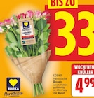 Rosen von EDEKA Herzstücke für 4,99 € bei E center im Angebot Rosen von EDEKA Herzstücke im aktuellen E center Prospekt
