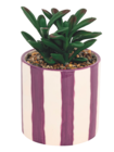 Plante artificielle Deep Purple pot céramique rayé H.16cm en promo chez Maxi Bazar Nice à 5,99 €