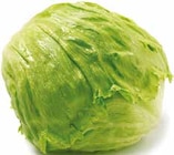 Netto mit dem Scottie Grimmen - Eisbergsalat Angebot im Prospekt Eisbergsalat bei Netto mit dem Scottie im Grimmen Prospekt für 0,89 €