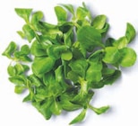 Aktuelle Salat Angebote bei Markant Nordwest in Hannover Aktuelles Deutscher Feldsalat Angebot bei Markant Nordwest in Hannover ab 0,99 €