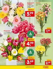 Tulpen im Netto Marken-Discount Prospekt "Aktuelle Angebote" mit 65 Seiten (Frankfurt (Main))