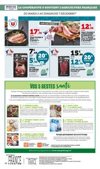 Promo Tulipes dans le catalogue Super U du moment à la page 24