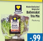 EDEKA Beselich - Herzstücke Ballensalat Trio Mix Angebot im Prospekt Herzstücke Ballensalat Trio Mix bei EDEKA im Beselich Prospekt für 0,99 €