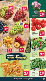Pilze Angebot & Preis im aktuellen Netto mit dem Scottie Prospekt Pilze Angebot im aktuellen Netto mit dem Scottie Prospekt auf Seite 3